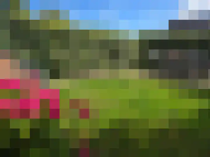 Riezenweg 1 C Hoorn thumbnail 34