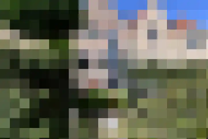 Riezenweg 1 C Hoorn thumbnail 35