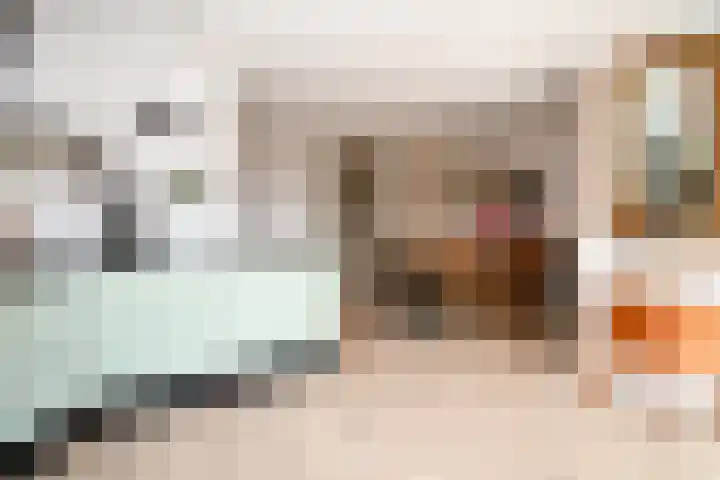 Riezenweg 1 C Hoorn thumbnail 8