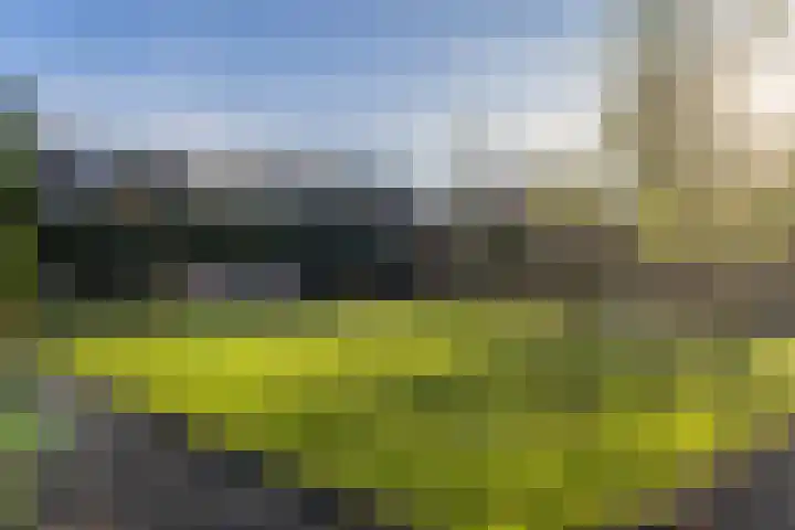 Riga 11 Hattem thumbnail 44