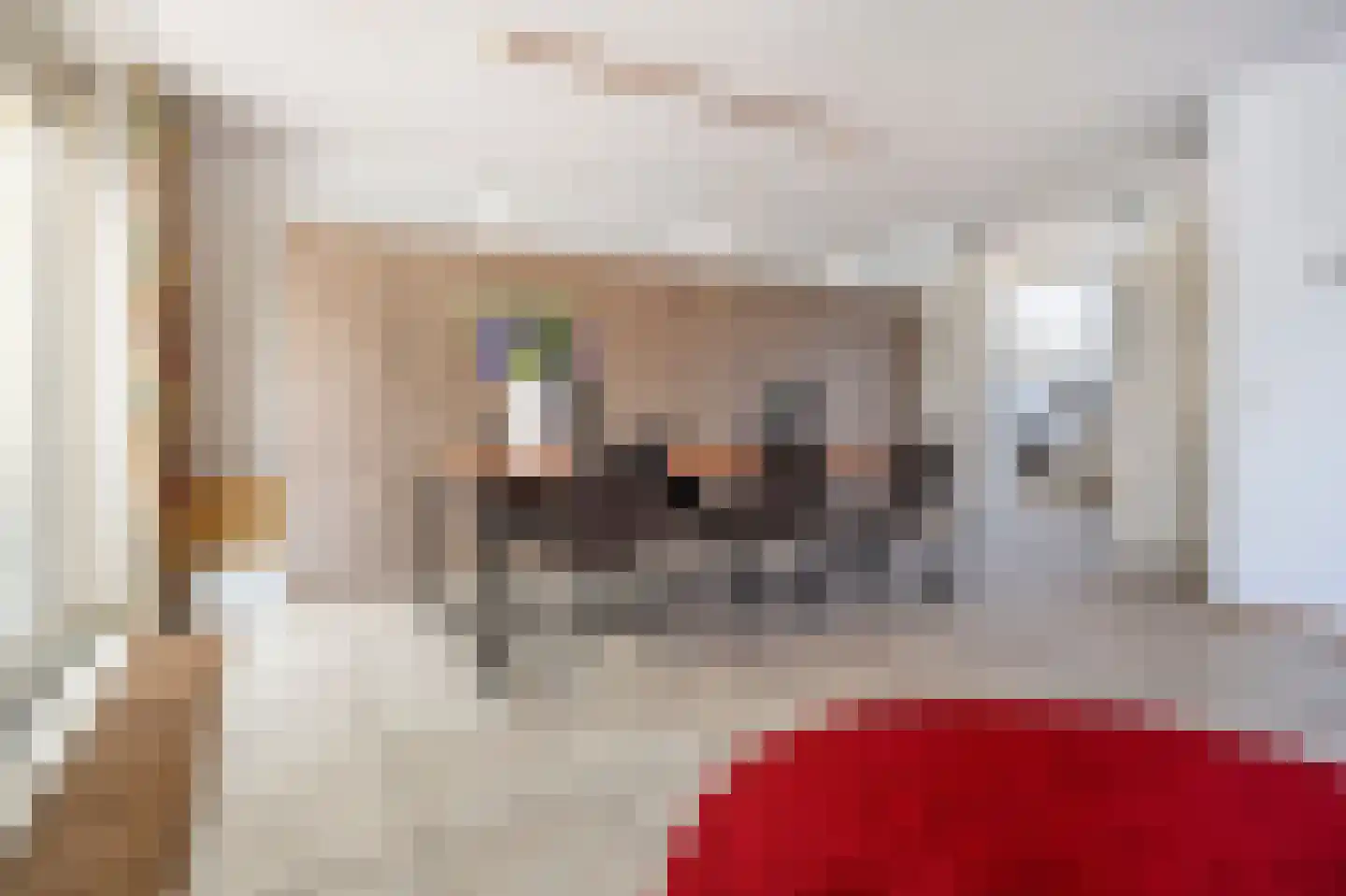 Riga 19 Leerdam thumbnail 4