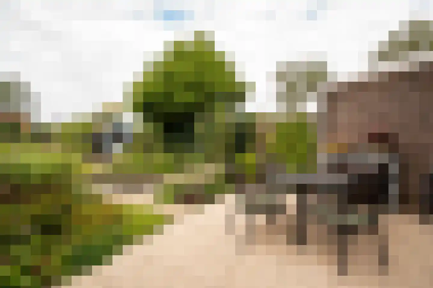 Riga 6 Leerdam thumbnail 4