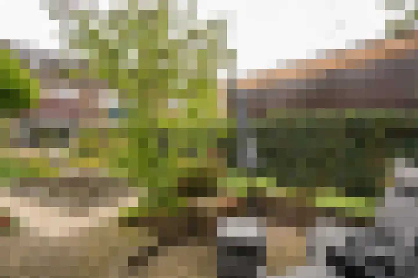 Riga 6 Leerdam thumbnail 43