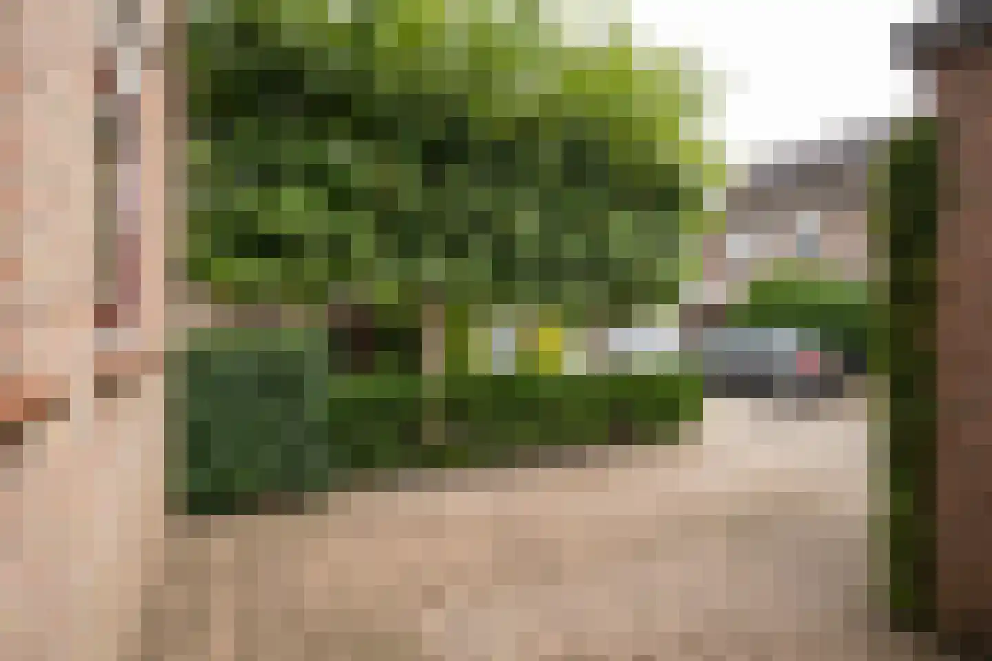 Riga 6 Leerdam thumbnail 45