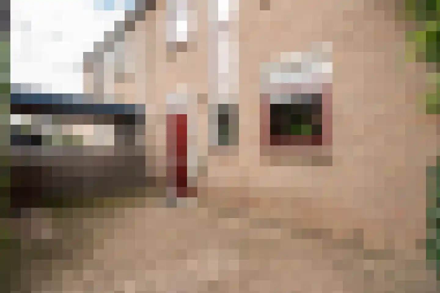 Riga 6 Leerdam thumbnail 6
