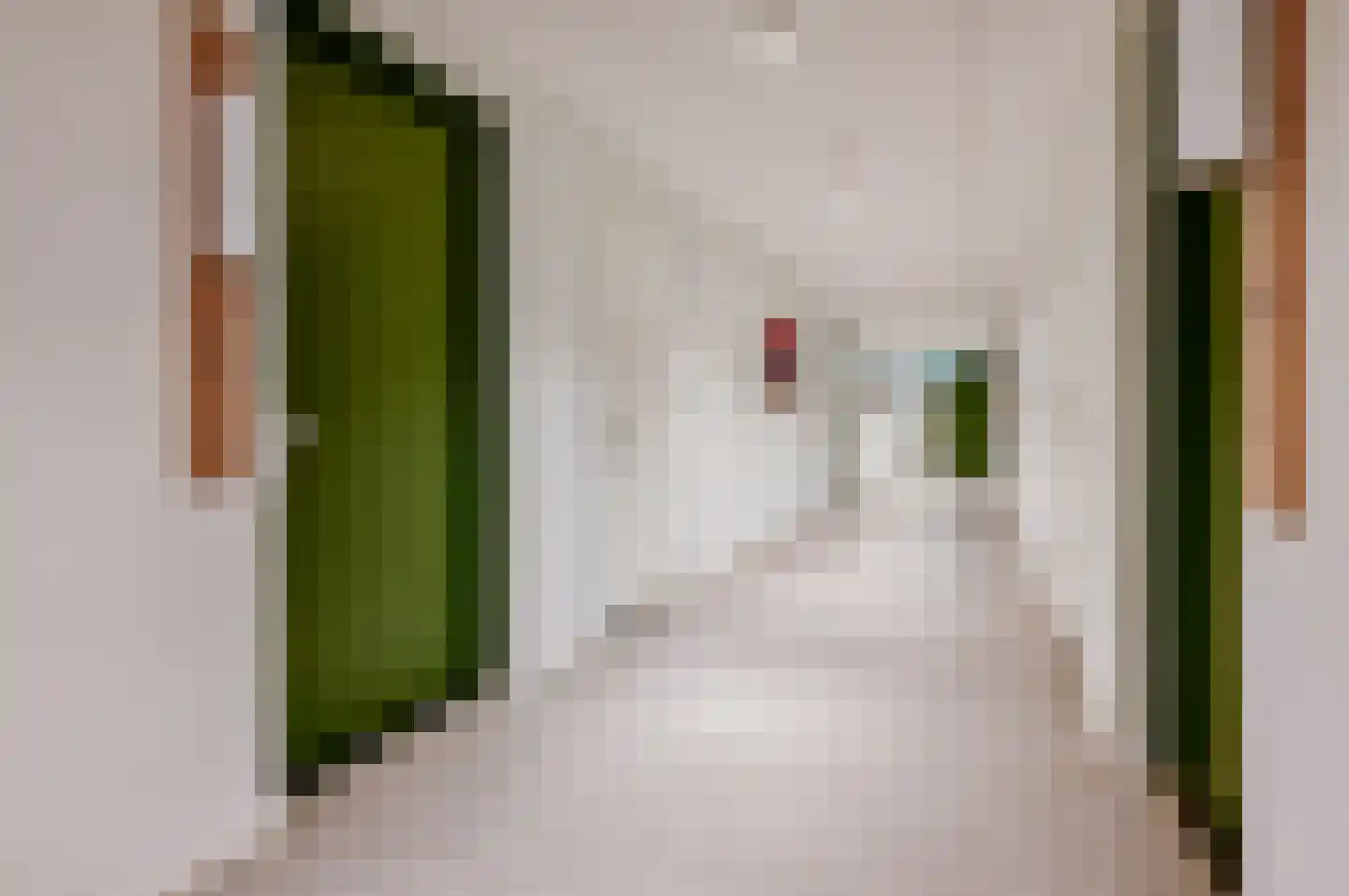 Rigastraat 255 Lelystad thumbnail 8