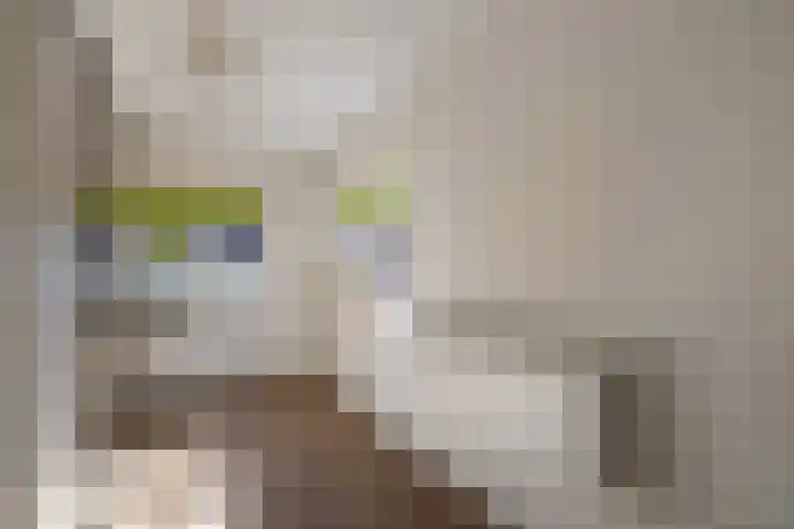 Rigastraat 72 Lelystad thumbnail 31