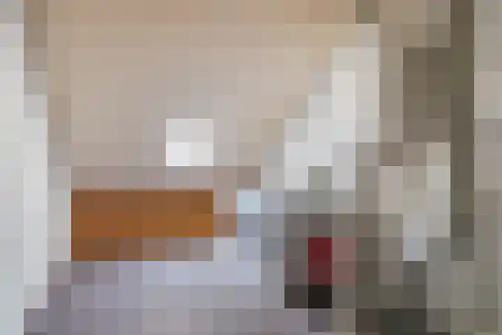 Rigaud de Cockstraat 2 Asten thumbnail 24