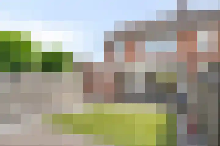 Rigaud de Cockstraat 2 Asten thumbnail 28