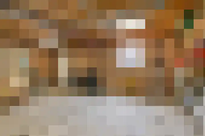 Rigaud de Cockstraat 2 Asten thumbnail 32