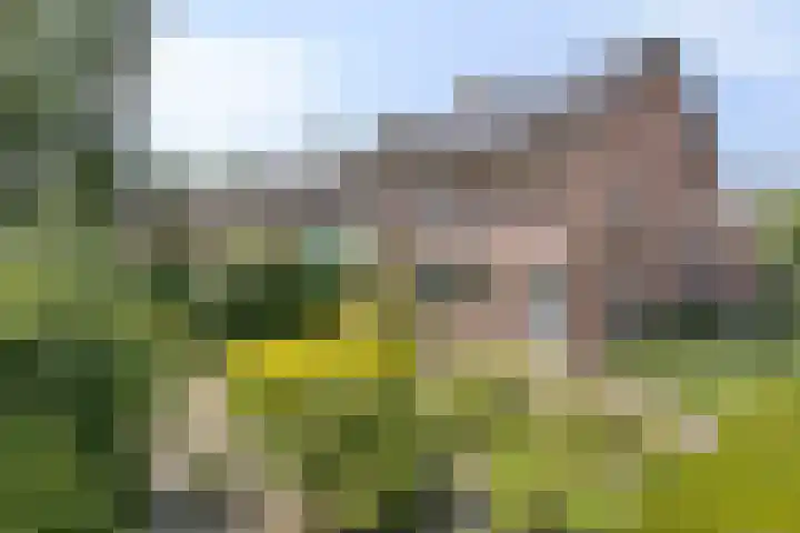 Rigaud de Cockstraat 2 Asten thumbnail 36