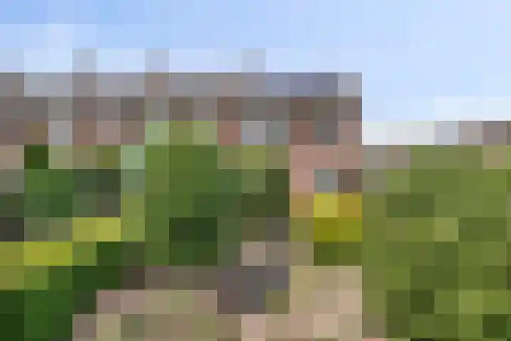 Rigaud de Cockstraat 2 Asten thumbnail 7