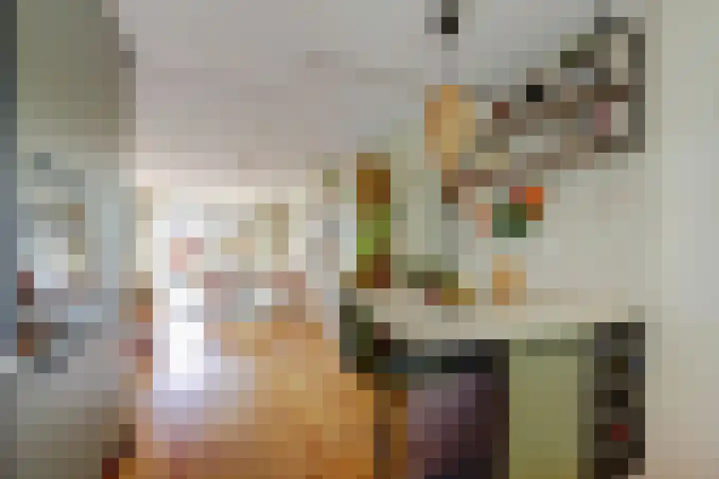 Rigel 14 Waddinxveen thumbnail 18