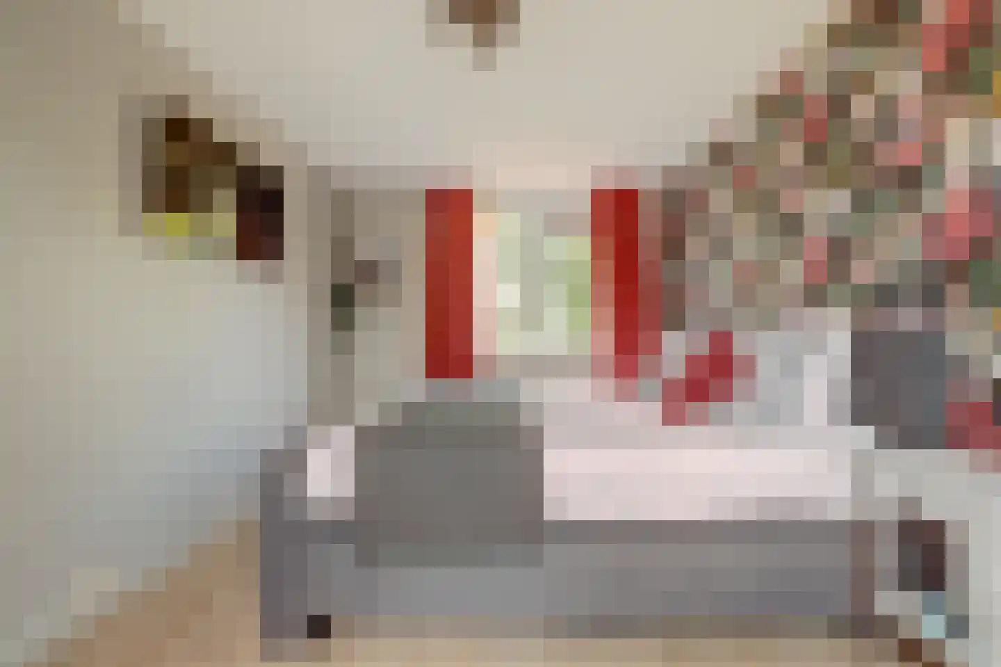 Rigel 14 Waddinxveen thumbnail 22