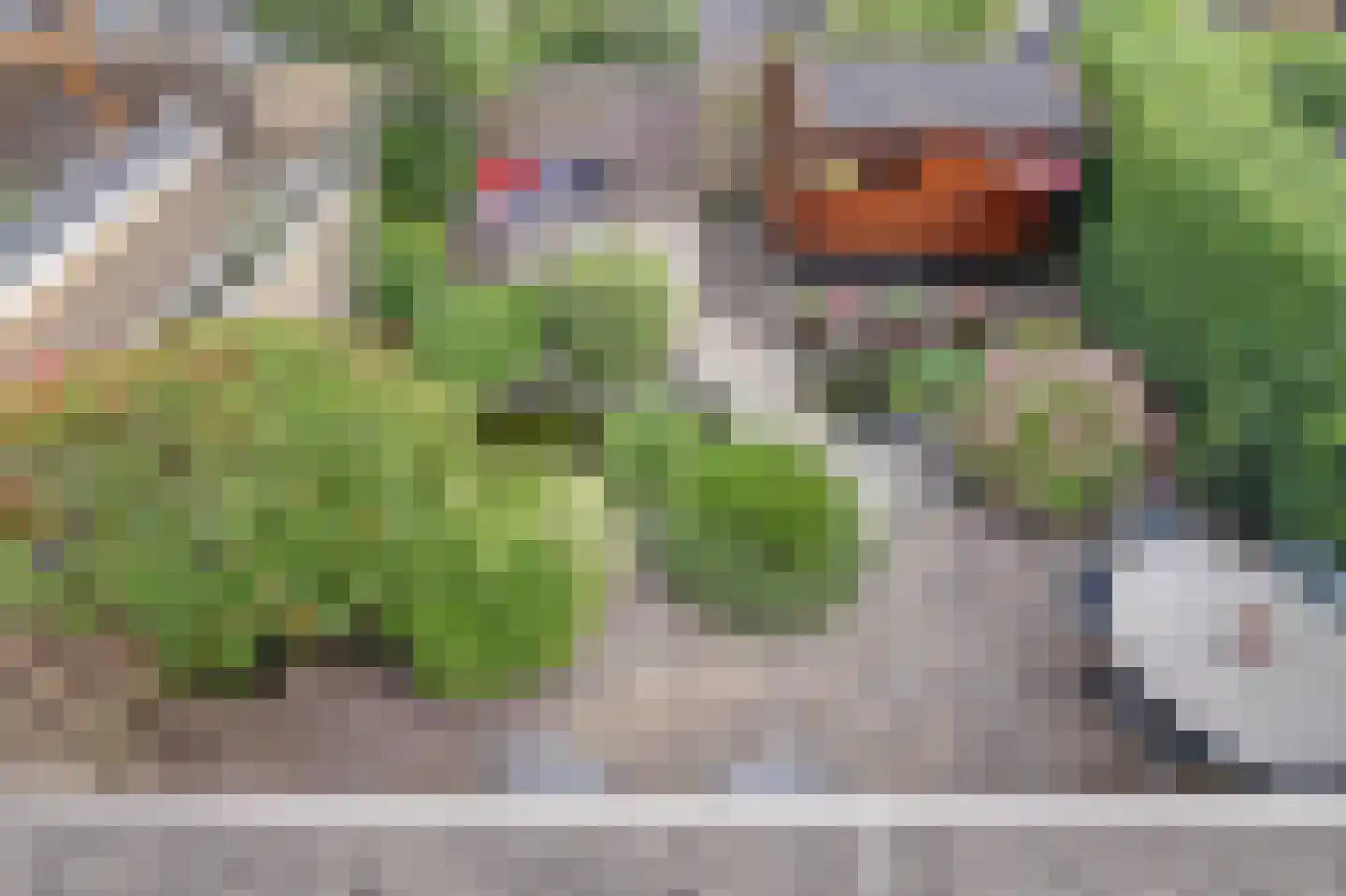 Rigel 14 Waddinxveen thumbnail 25