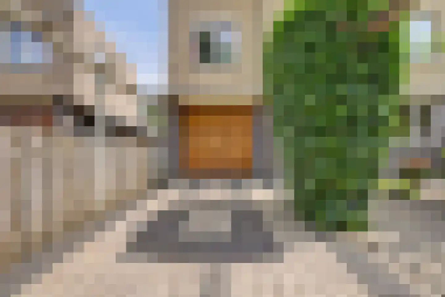 Rigel 14 Waddinxveen thumbnail 36