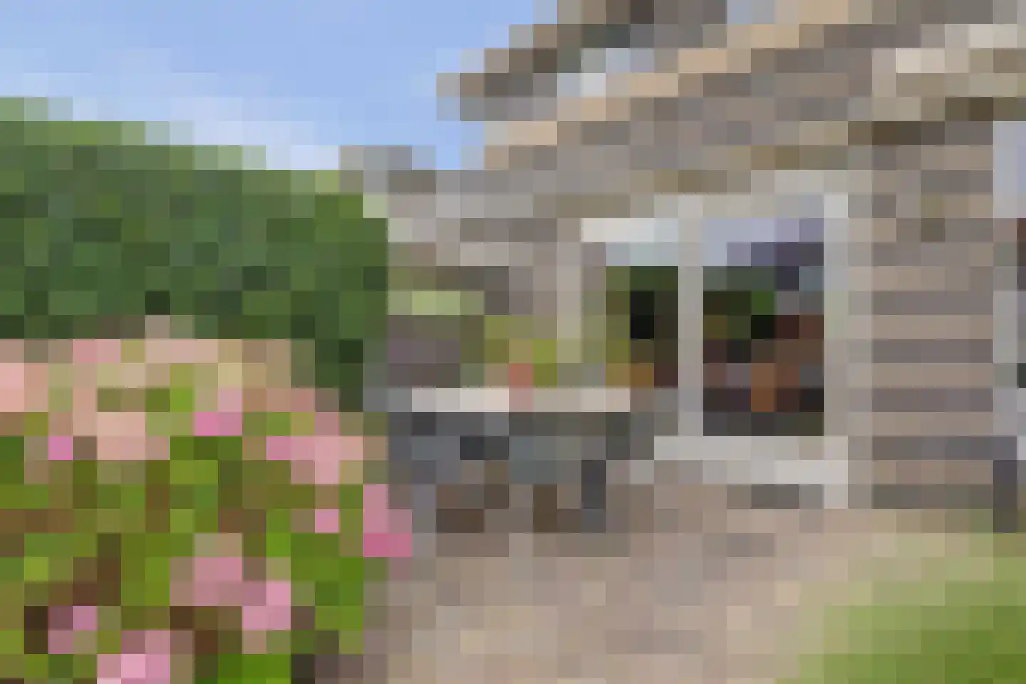 Rigel 14 Waddinxveen thumbnail 40