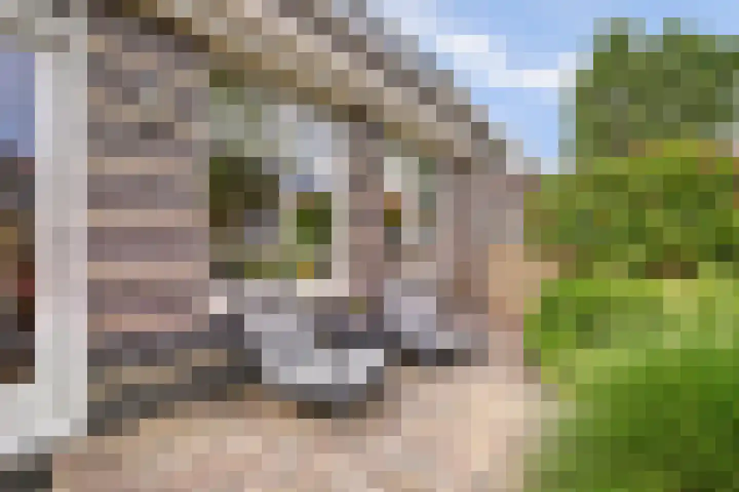 Rigel 14 Waddinxveen thumbnail 41