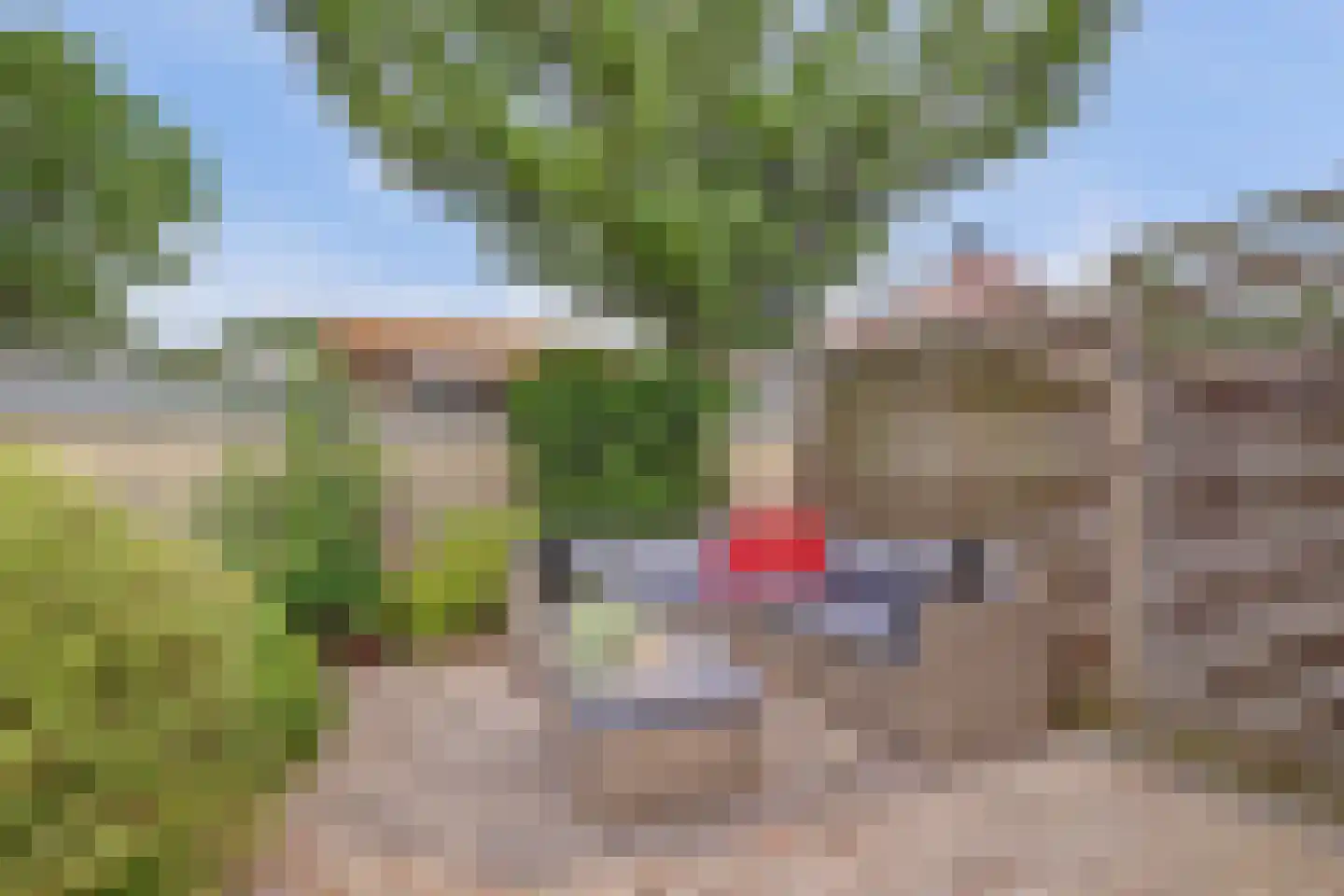 Rigel 14 Waddinxveen thumbnail 43