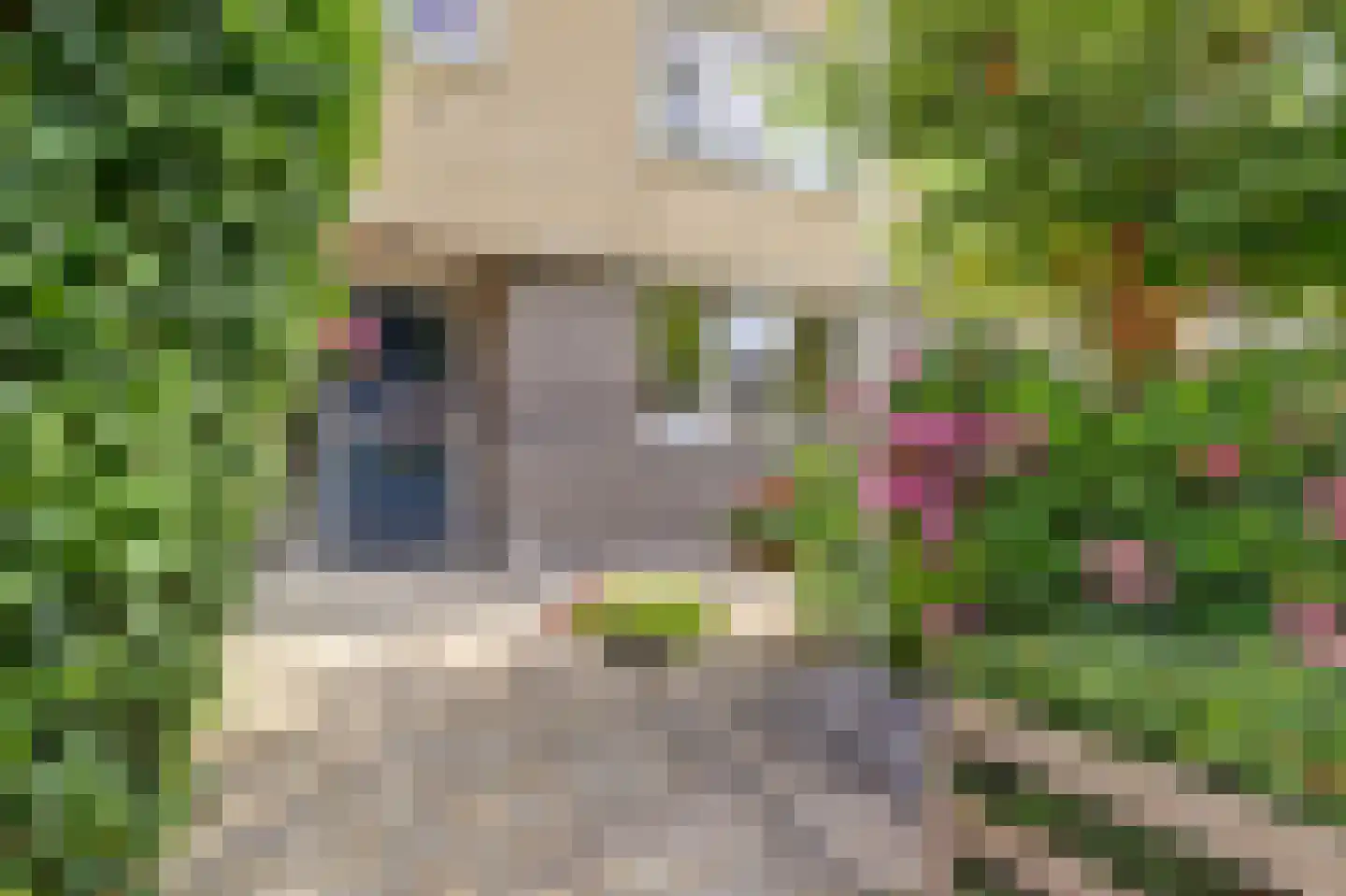 Rigel 14 Waddinxveen thumbnail 6
