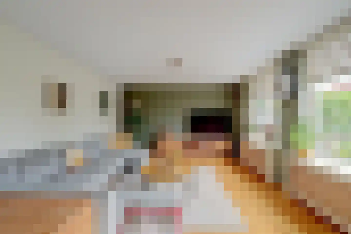 Rigel 14 Waddinxveen thumbnail 9