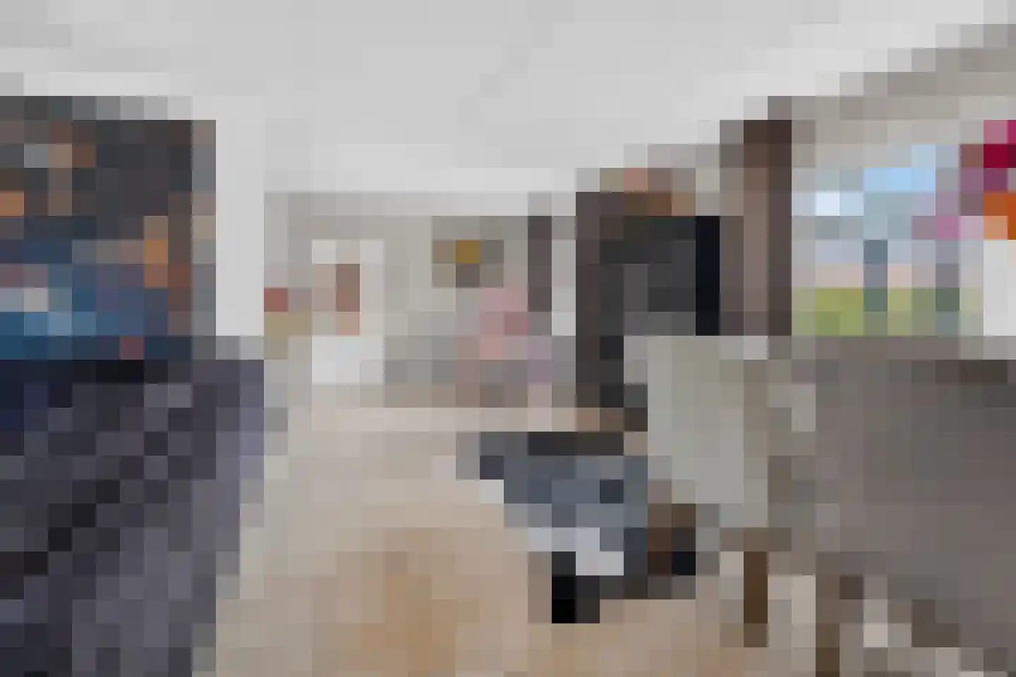 Rigel 2 Klazienaveen thumbnail 11