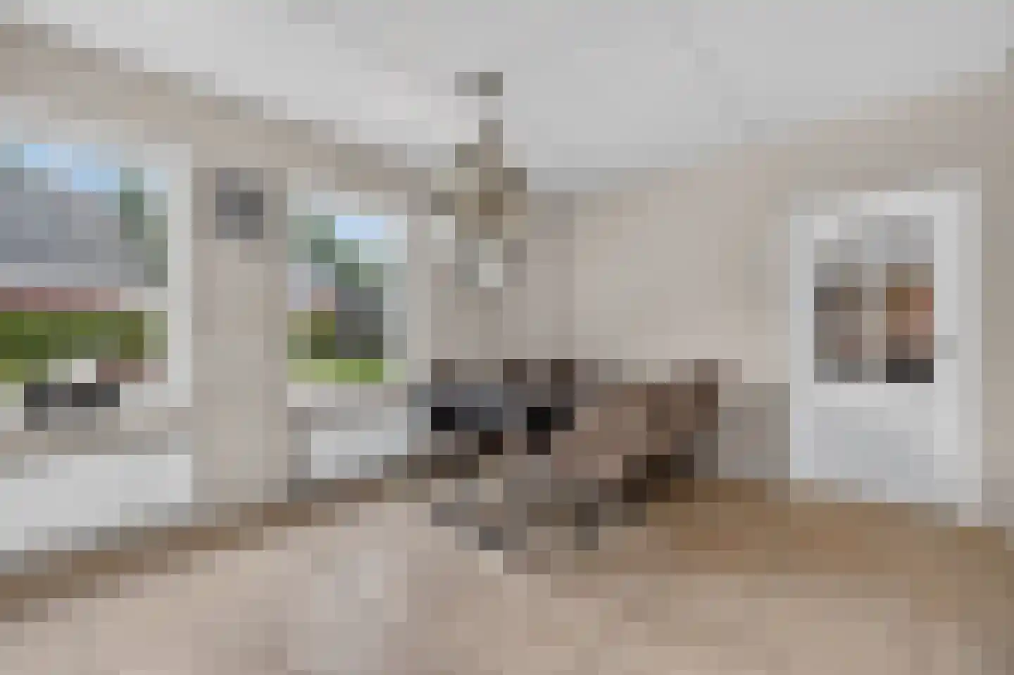 Rigel 2 Klazienaveen thumbnail 18