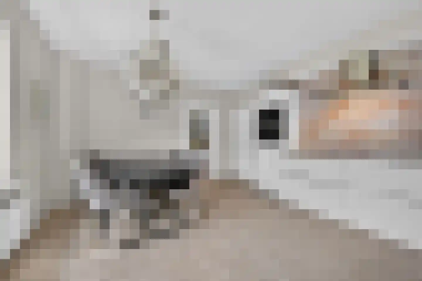 Rigel 2 Klazienaveen thumbnail 19