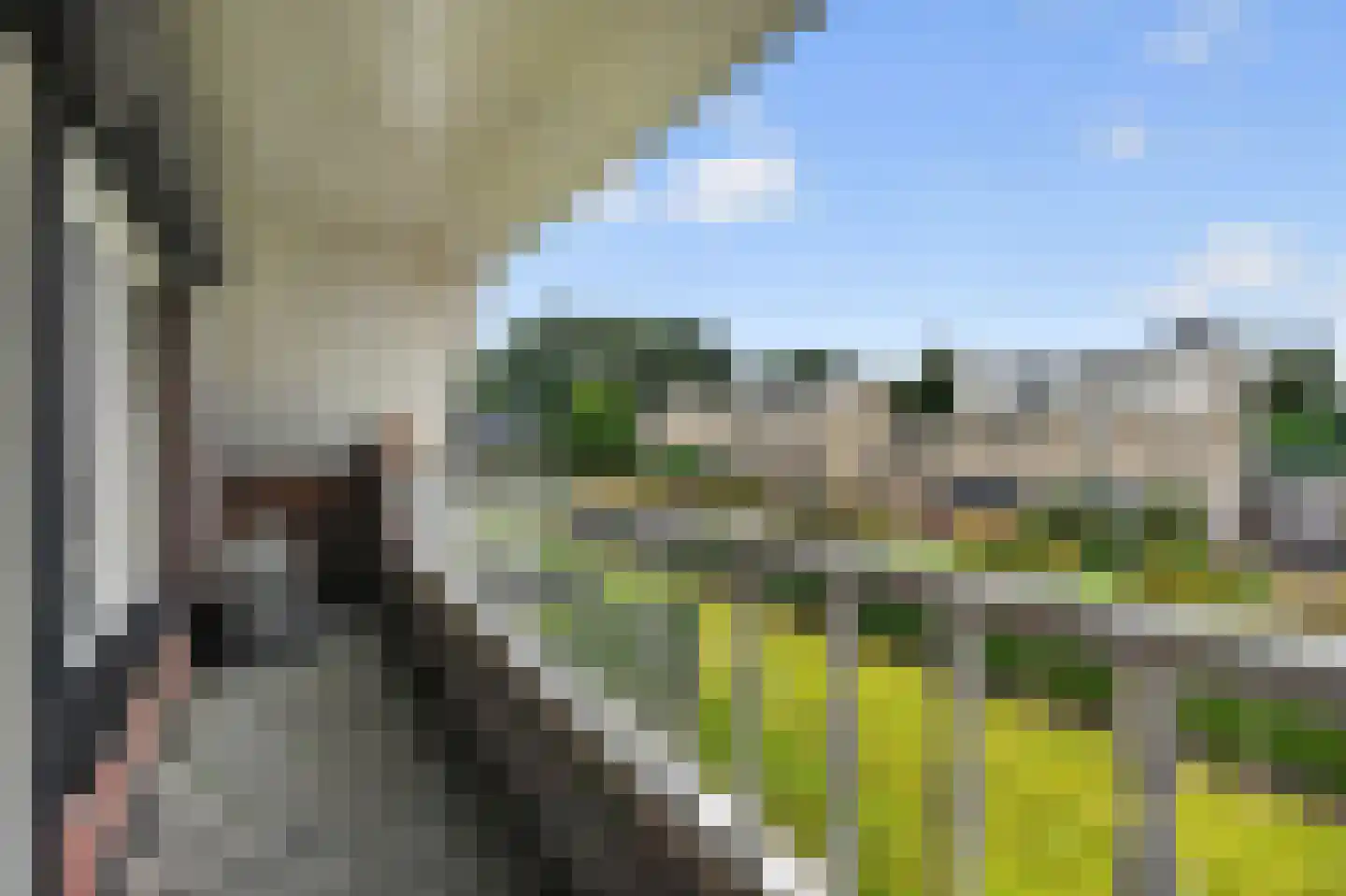 Rigel 2 Klazienaveen thumbnail 31