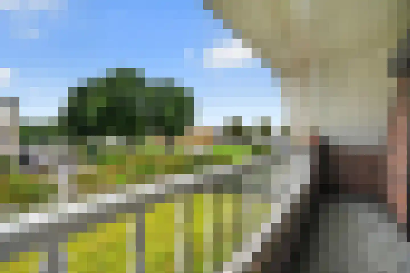 Rigel 2 Klazienaveen thumbnail 32