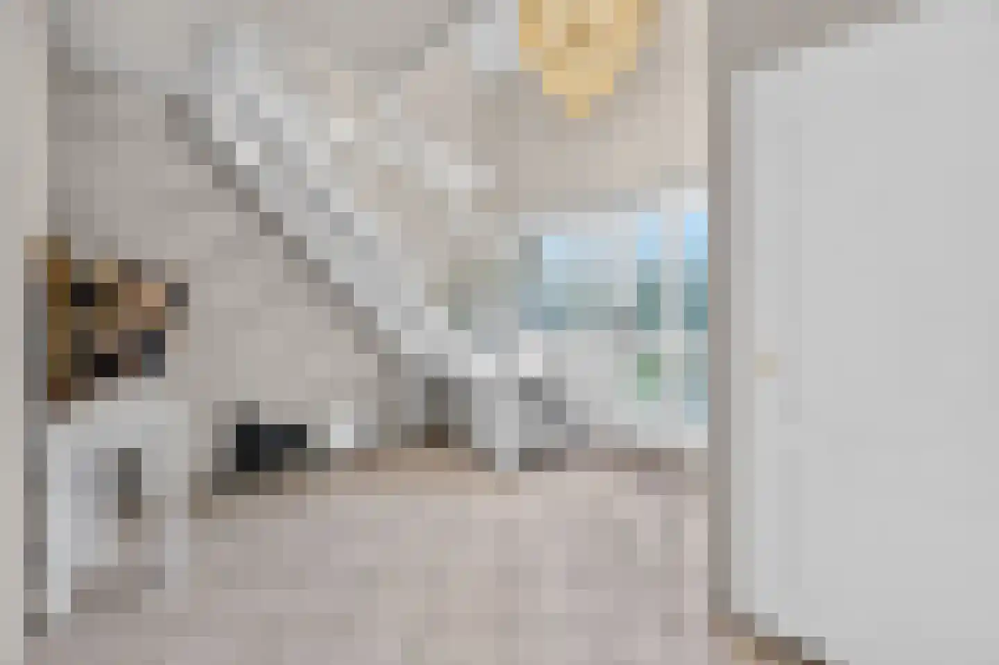 Rigel 2 Klazienaveen thumbnail 4
