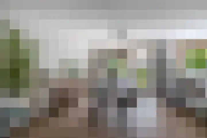 Rigel 28 Waddinxveen thumbnail 11