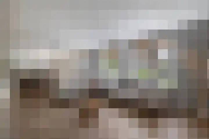 Rigel 28 Waddinxveen thumbnail 12