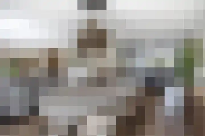 Rigel 28 Waddinxveen thumbnail 13