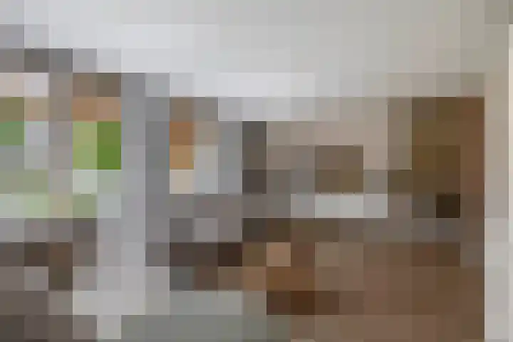 Rigel 28 Waddinxveen thumbnail 14