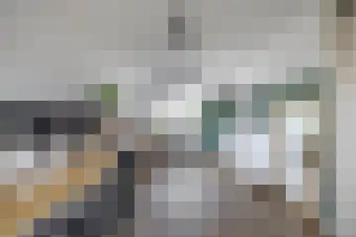 Rigel 28 Waddinxveen thumbnail 20