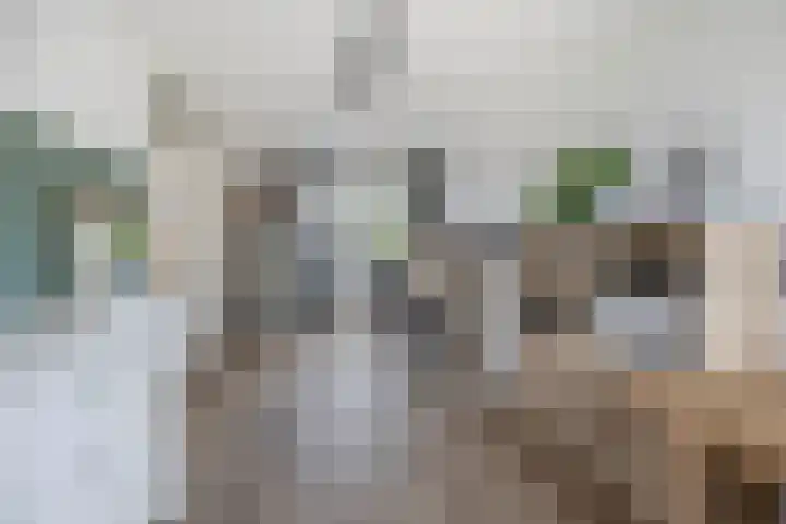 Rigel 28 Waddinxveen thumbnail 21