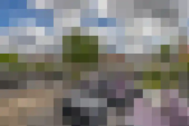 Rigel 28 Waddinxveen thumbnail 22