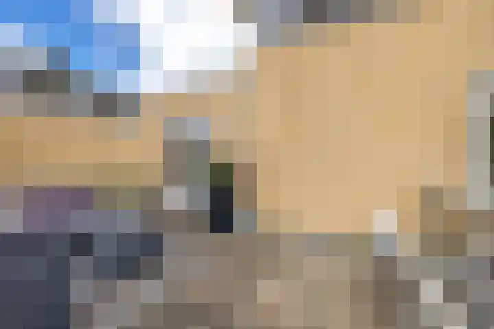 Rigel 28 Waddinxveen thumbnail 23