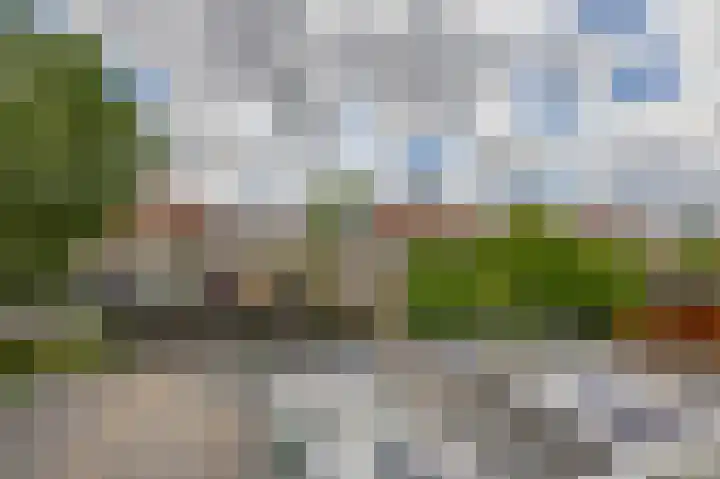 Rigel 28 Waddinxveen thumbnail 24