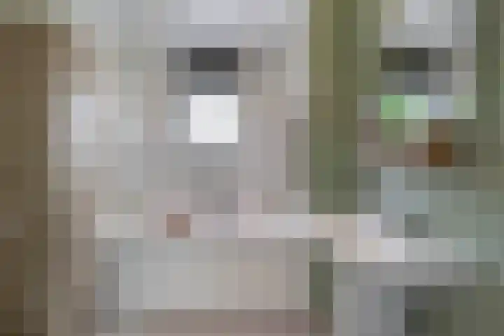 Rigel 28 Waddinxveen thumbnail 25