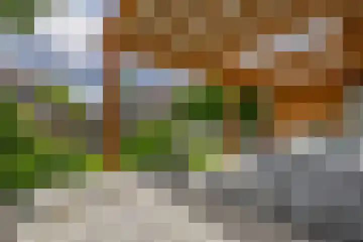 Rigel 28 Waddinxveen thumbnail 34