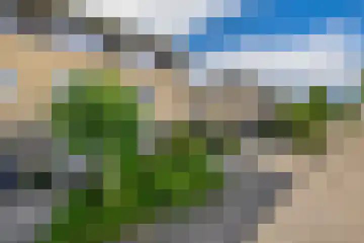 Rigel 28 Waddinxveen thumbnail 36