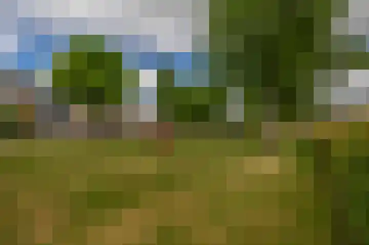 Rigel 28 Waddinxveen thumbnail 37