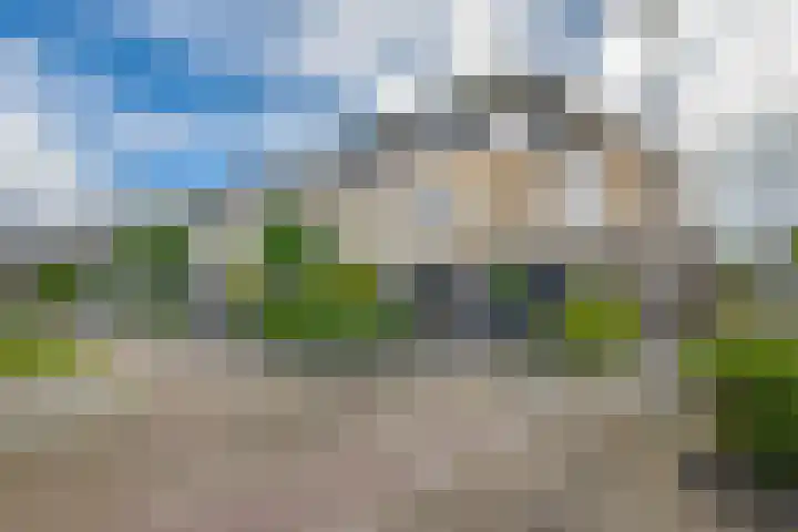 Rigel 28 Waddinxveen thumbnail 43