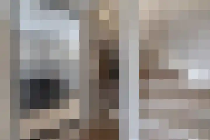 Rigel 28 Waddinxveen thumbnail 8