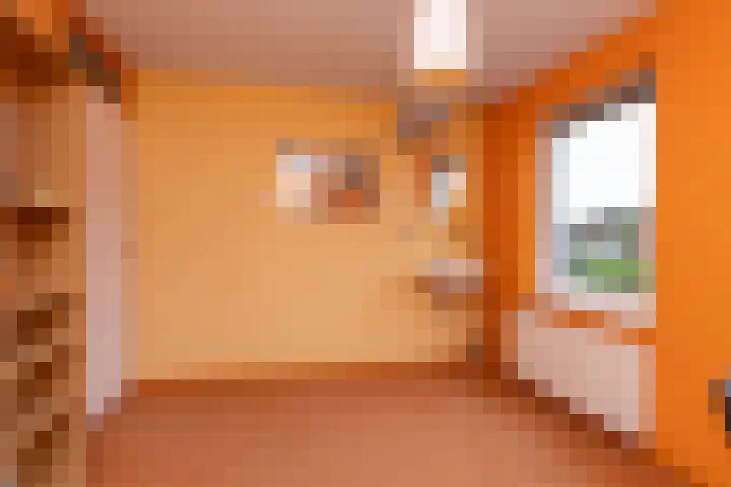 Rigel 29 Hoogeveen thumbnail 28