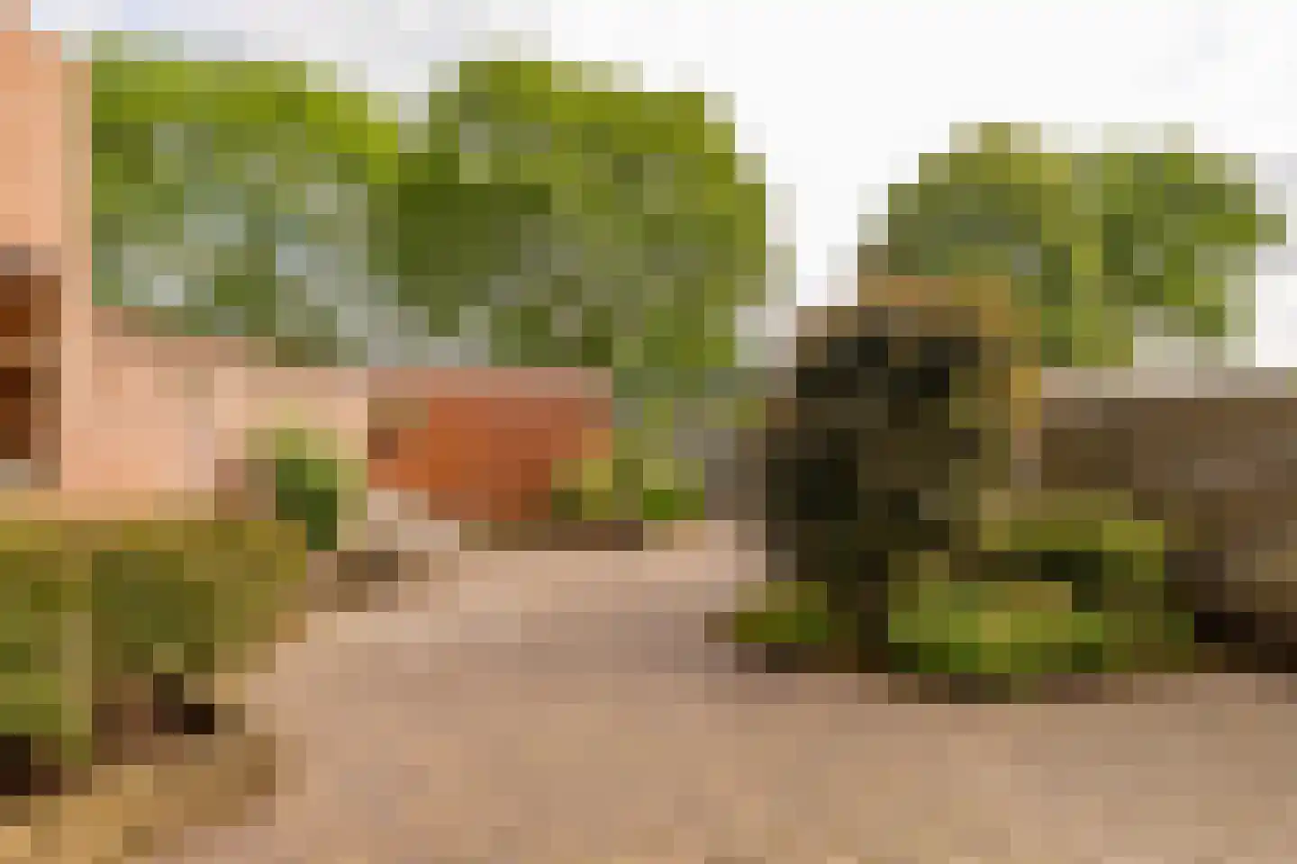 Rigel 29 Hoogeveen thumbnail 42