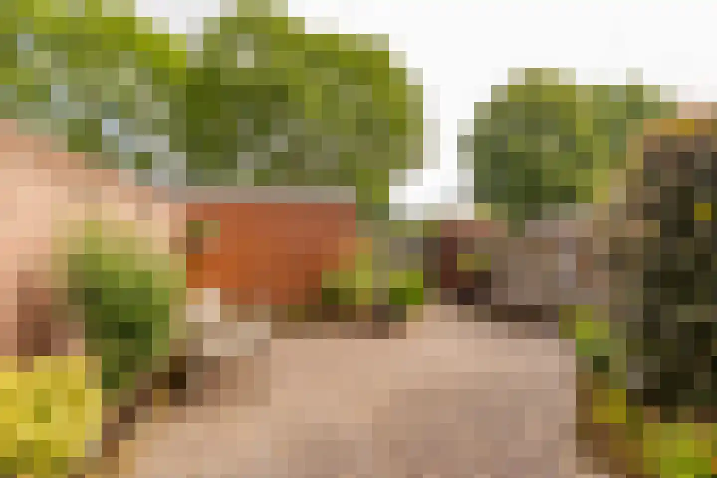 Rigel 29 Hoogeveen thumbnail 45