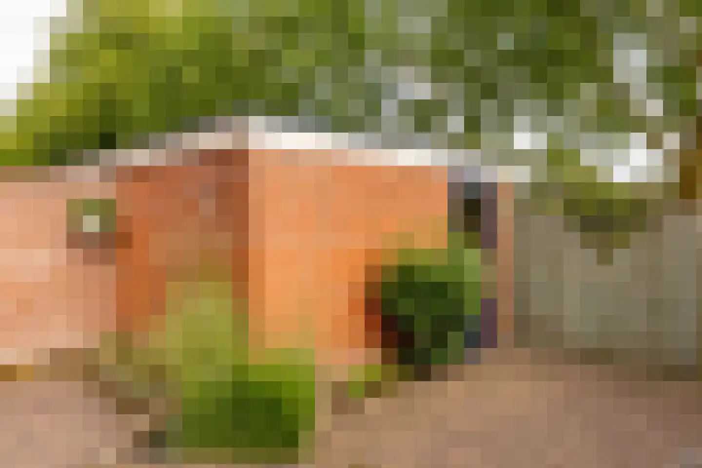 Rigel 29 Hoogeveen thumbnail 47